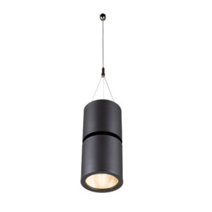 Ambiane MP111 Pendant Remote